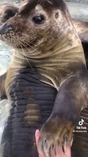 17 марта 2023 г.