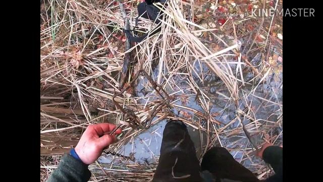Mink and Muskrat Trapping- A day on the Trapline! смотреть онлайн