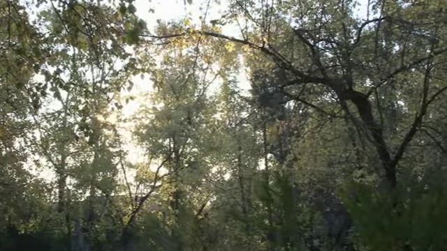 Багряная осень смотреть онлайн