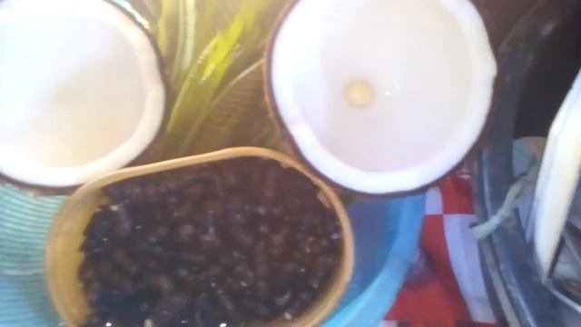 mag loloto po ako ng niyog at ibapa смотреть онлайн