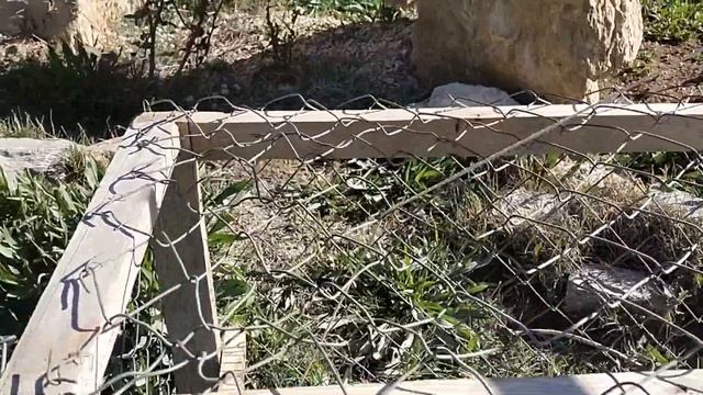 НОВЫЕ ЦВЕТНИКИ НА СКЛОНЕ. ОХОТА НА ЗАЙЦЕВ смотреть онлайн
