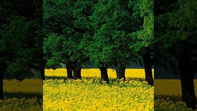 Кулъяулыгың. смотреть онлайн