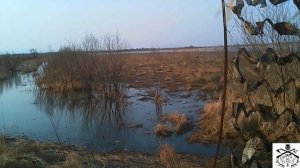 Охота в в Приморском крае