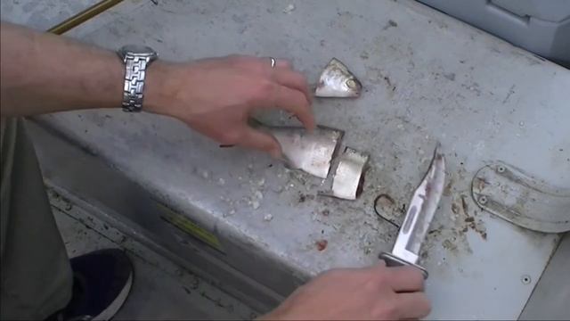 Catfish 101- How to Cut and Hook Gizzard Shad смотреть онлайн