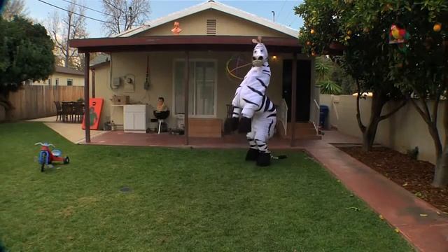 Зебра дэнс .mp4 смотреть онлайн