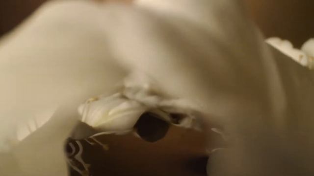 Cartier La Panthère смотреть онлайн