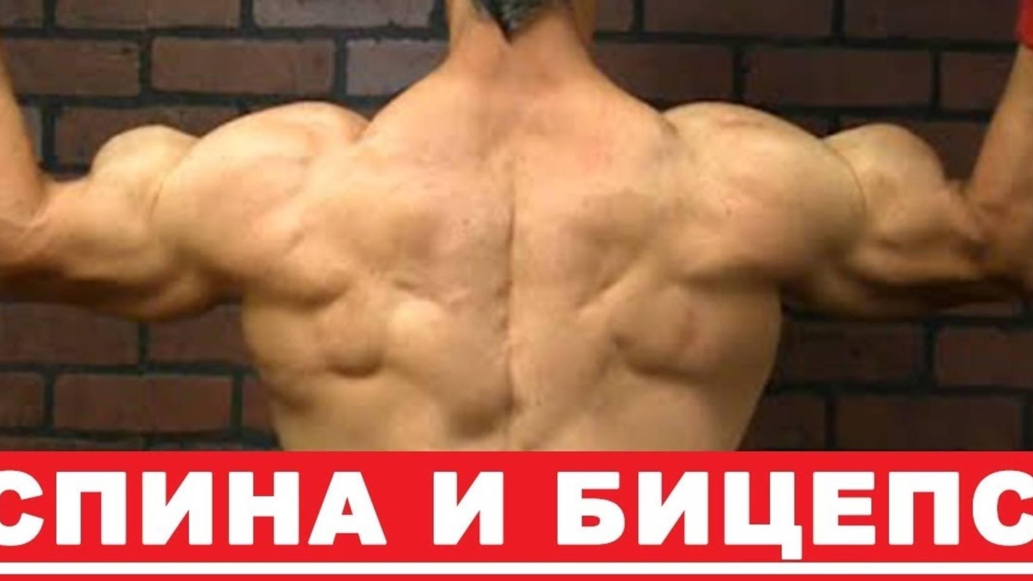 Как Накачать Спину и Бицепс? Тренировка на Массу | Неделя 2