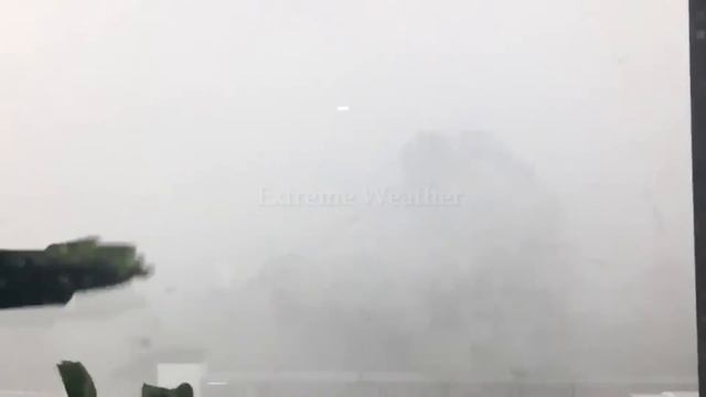 Madness in Florida! An incredible microburst storm hit Tampa, Ybor City! смотреть онлайн