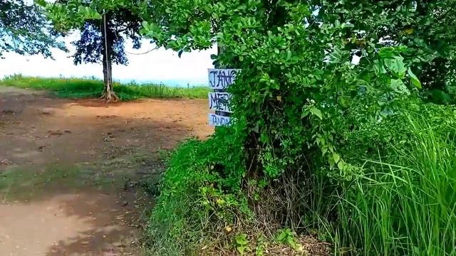 HIKING| Bukit Piniapat, Pitas| 23.12.2021 смотреть онлайн