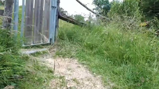 Air segar Pohon Oak Tertua |Chatillon Jura - SWITZERLAND смотреть онлайн