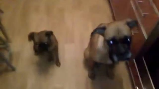 VID 20180413 WA0056 смотреть онлайн