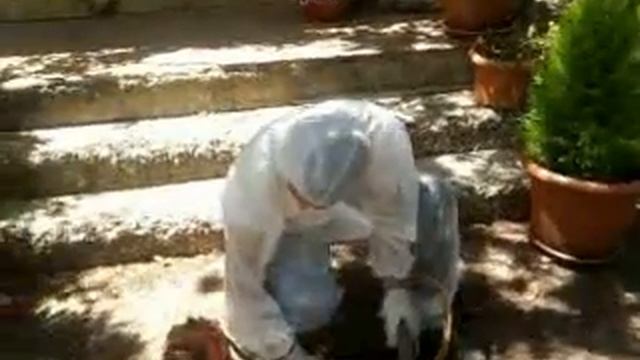 video pazzo con decespugliatore che impenna смотреть онлайн