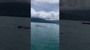 Коста-Рика путешествие  2021