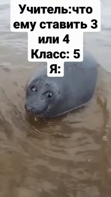 уважение таким ученикам Киаюю смотреть онлайн