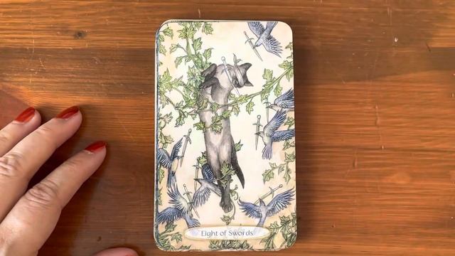 Soul Cats Tarot | Full Flip Through смотреть онлайн
