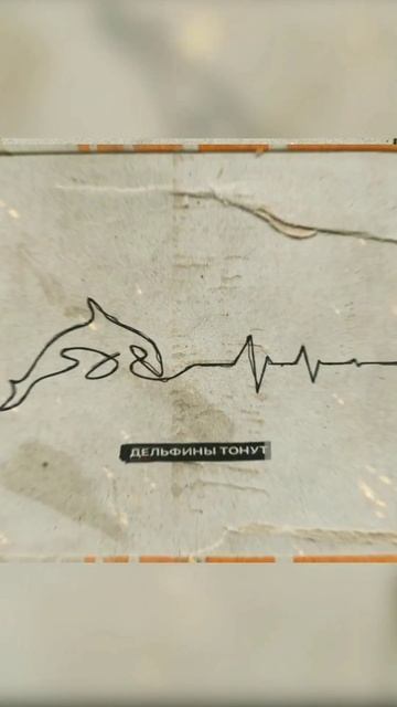 Дельфины тонут голыми / А ты знаешь что дельфины без любви не живут.....? #shorts #новаямузыка смотреть онлайн