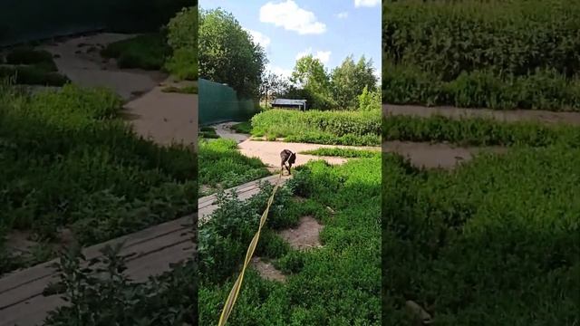 Люцерн 02.07.23 смотреть онлайн