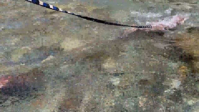 [Original Video] Ambassador Aty and Lady Ui Will Show You The Sagamihara Nature! смотреть онлайн