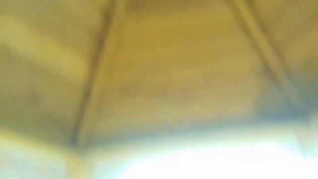 Догляд за равликами! смотреть онлайн