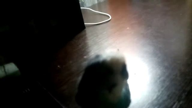 посмоторите это видео кто хочет тот может заглянуть в описание👇👇👇 смотреть онлайн