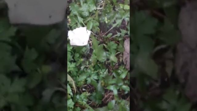 150 рублей в жопу!