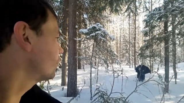 Глухари в Карелии нападают на людей смотреть онлайн