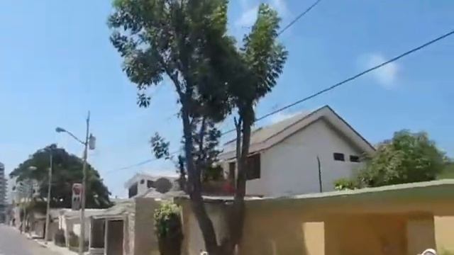 TEMA SI NO LA SABES VIVIR EN VIVO NESTOR ARIAS смотреть онлайн