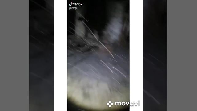 Видео из тик тока 👍😅😂 смотреть онлайн