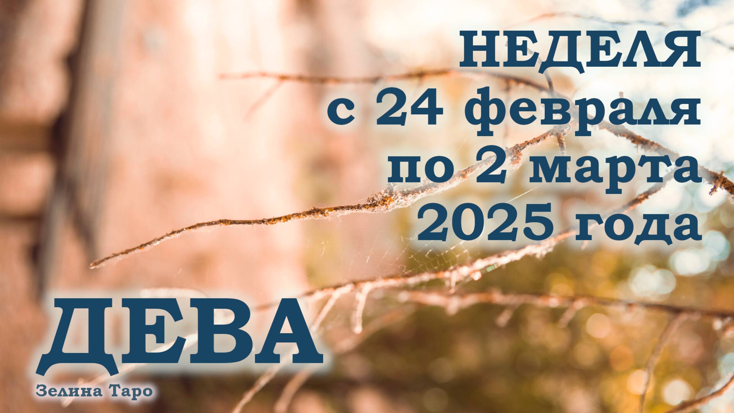 ДЕВА | ТАРО прогноз на неделю с 24 февраля по 2 марта 2025 года