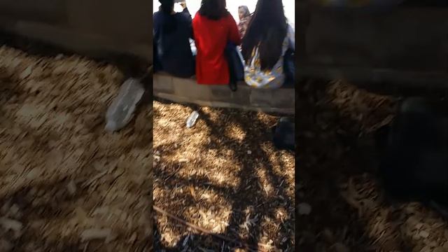 Mira Loma high school смотреть онлайн