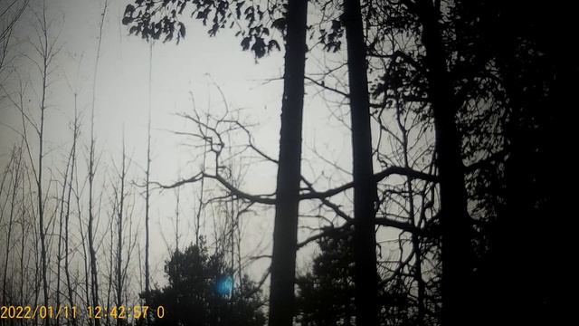 Казачка - вызывает Смех с мехом на эмоции . смотреть онлайн