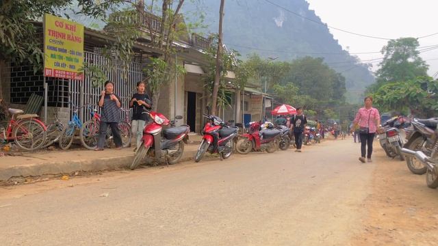 Harvest wild spinach in the forest and bring it to the market to sell | Small Fire смотреть онлайн