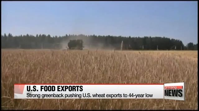Strong greenback pushing U.S. wheat exports to 44－year low смотреть онлайн