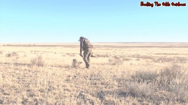 Coyote Hunting - Predator Hunting With Bucking The Odds Video 44.f4v