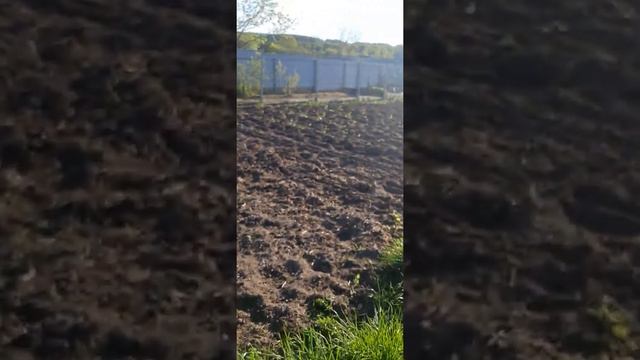 29 мая 2022 смотреть онлайн