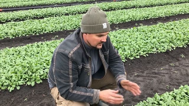 Банджо F1 смотреть онлайн