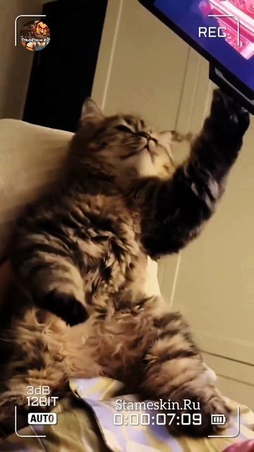 Доброе утро!🌄.mp4 смотреть онлайн