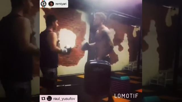 Зебра Проспект Вернадского