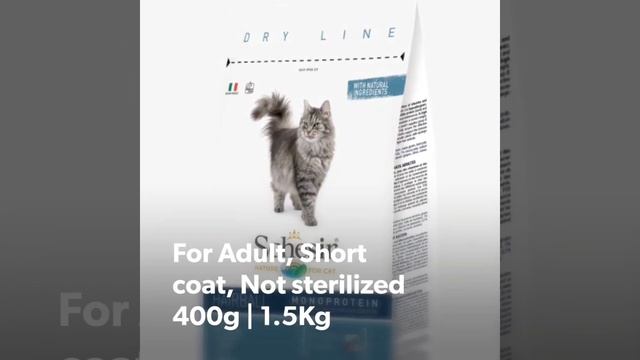 Healthy Pet Food | Schesir Cat Dry Food in UAE | Made in Italy | Aquariumlives смотреть онлайн