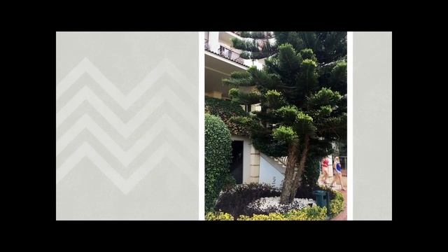 Sunis Elita Beach Antalya 2018 Vacation | Gülşen - Sarışınım смотреть онлайн