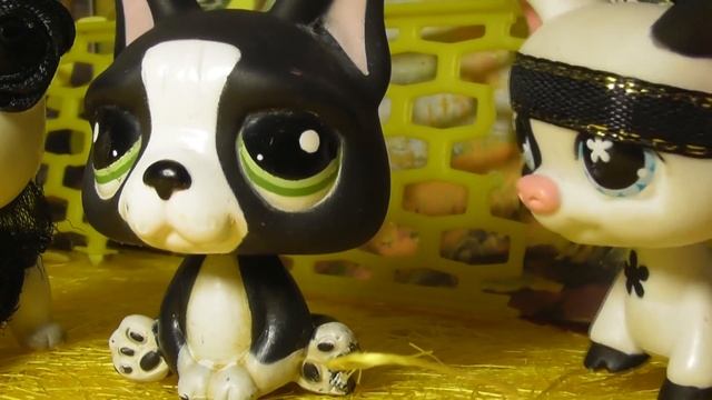 LPS сериал: Непохожие близняшки 12 серия / Unlike Twins Part 12