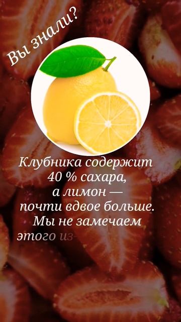 Про клубнику и лимон. смотреть онлайн