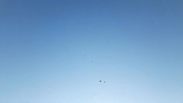 пробные подкидушки