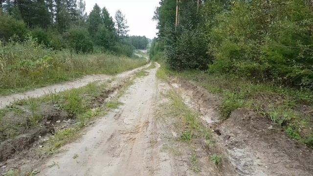 Босс бежал галопом в гору 350м)