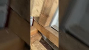 Перед утеплением напылением ППУ, дом из морского контейнера 40 футов