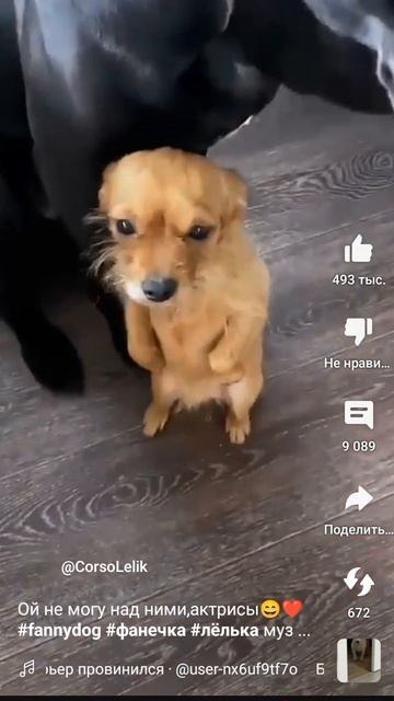 5 августа 2024 г.