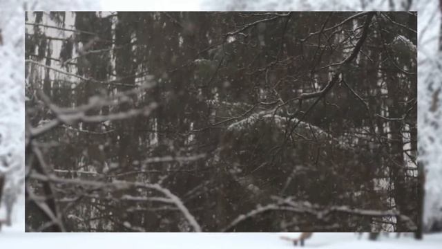 Snowflakes Instrumental Music with Snow and Wind Chimes for Relaxing Mind and Life смотреть онлайн