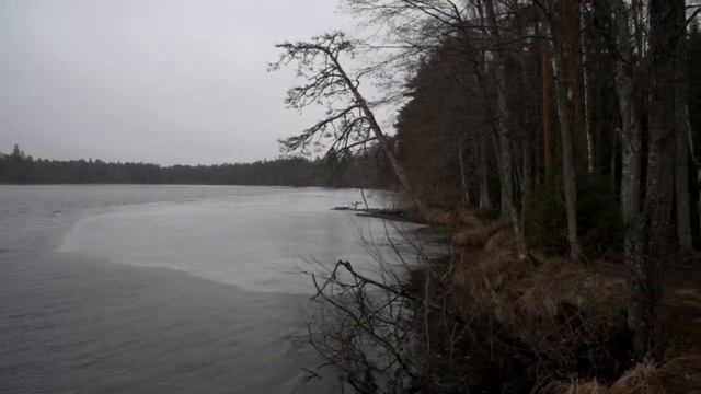 Место для костра Ярвеотса (Järveotsa lõkkekoht). 01 смотреть онлайн