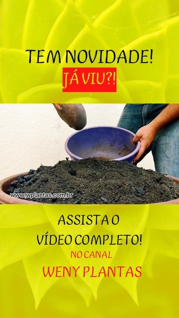 COMO PLANTAR E CUIDAR DE PLANTAS SUCULENTAS EM CASA 📌 смотреть онлайн