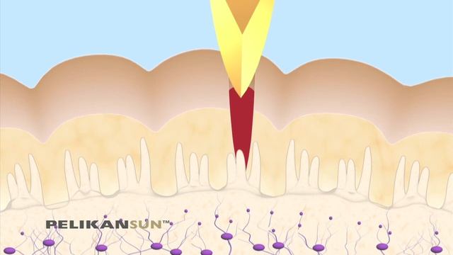 Pelikan Sun Technology Animation смотреть онлайн